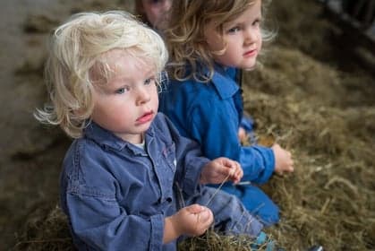 Ti-ta Tovenaar bv foto 6