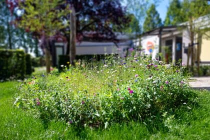 Kindcentrum Tierelantijn 3