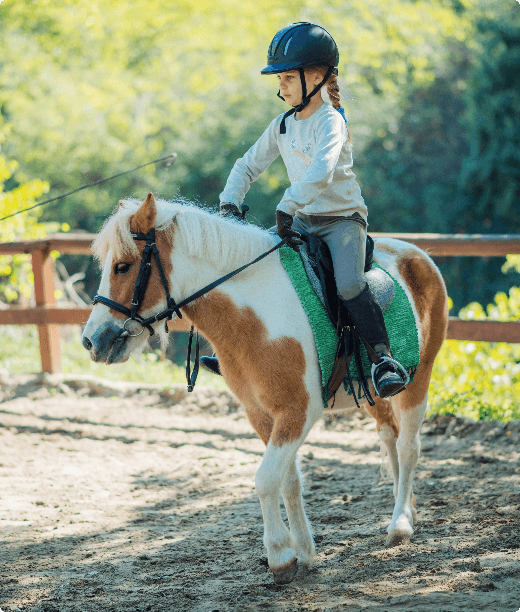 BSO Deilse Hoeve foto 7