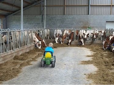 Kinderopvang 't Koetje 3