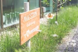 KDV De Rhijnsberg foto 7