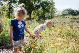 Bzzzonder Het Voorthuis foto 4