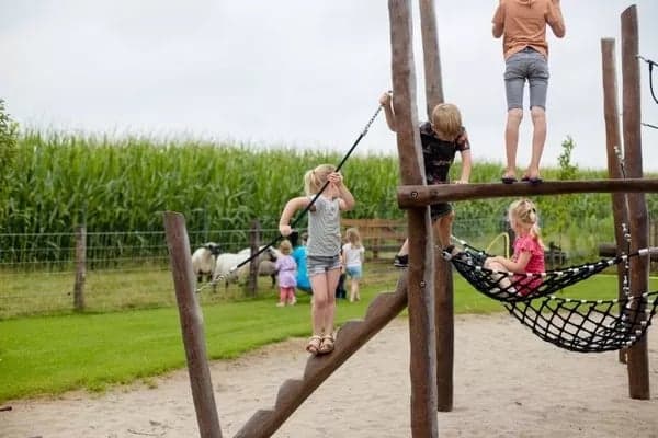 BSO Het Wollige Schaap 2