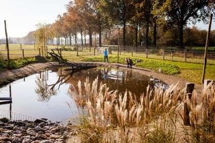 BSO Het Wollige Schaap foto 4