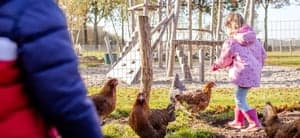 BSO Het Wollige Schaap foto 6