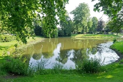 Wilhelminapark foto 7