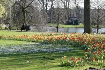 Wilhelminapark foto 10