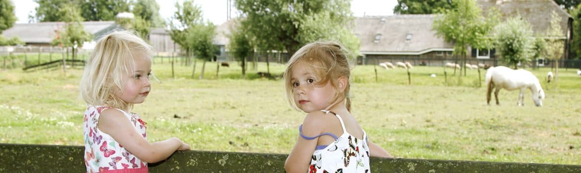 Helden Opvang Willaertstraat 2