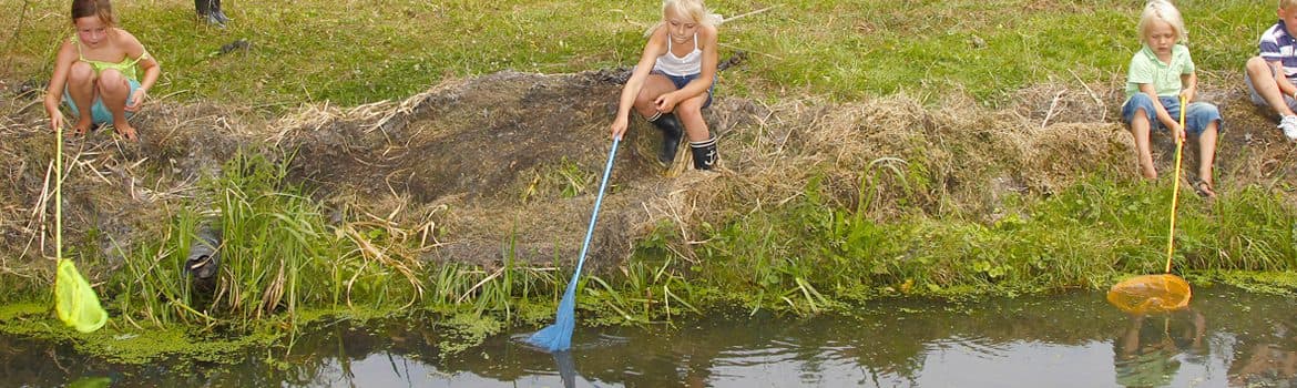 Helden Opvang Willaertstraat foto 8