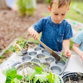 Helden Opvang Willaertstraat foto 10