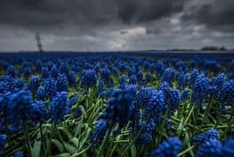 Boerderij de Zonnestraal 2