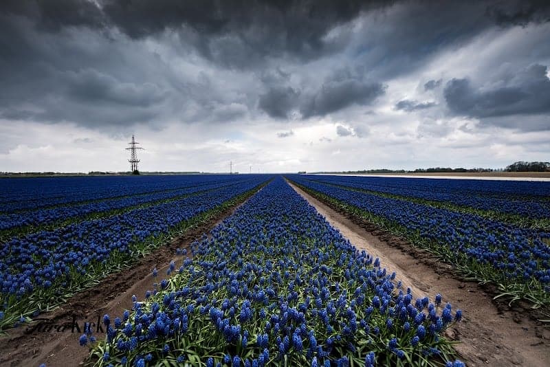Boerderij de Zonnestraal foto 5