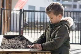 Hummeltjeshonk foto 4