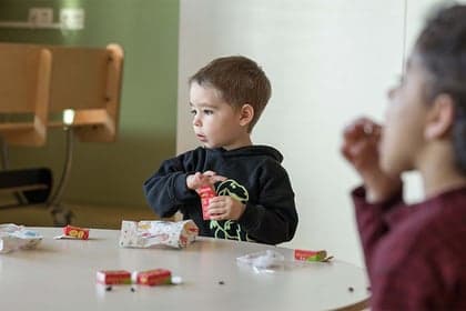 Hummeltjeshonk foto 6