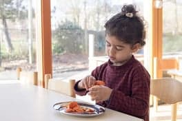 Hummeltjeshonk foto 10