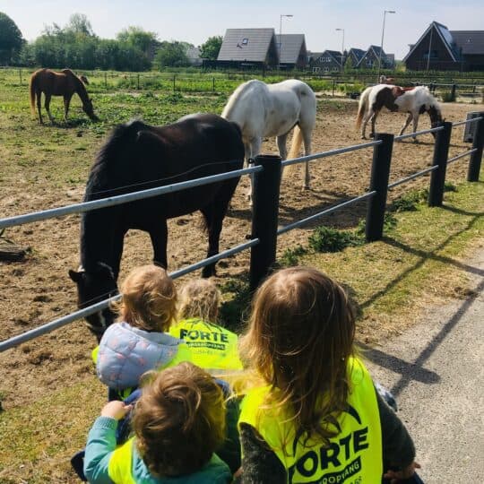 Kinderdagverblijf De Paradijsvogel foto 4