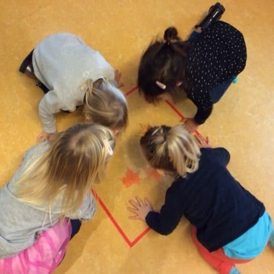 Kinderdagverblijf De Paradijsvogel foto 7