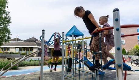 Basker IKC - Kameleon foto 5