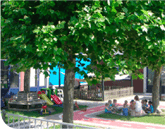 Kinderopvang Kleine Beer foto 6