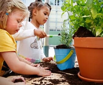 Peuteropvang Robinson 2