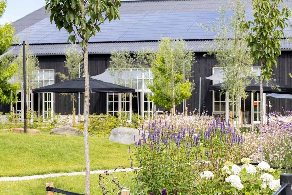 Kinderopvang Buitengewoon foto 7