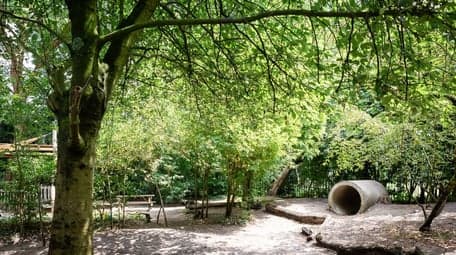 Peuteropvang Op Dreef foto 7