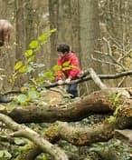 WildWoozt COVS foto 4