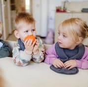 BSO de Kaboutertuin 3