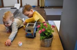 de Sjoester bso foto 9