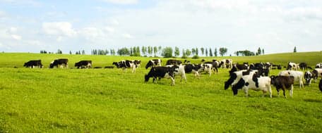 buitenschoolse opvang Natuurlijk Avontuurlijk foto 4