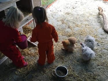 kinderdagverblijf Pluim