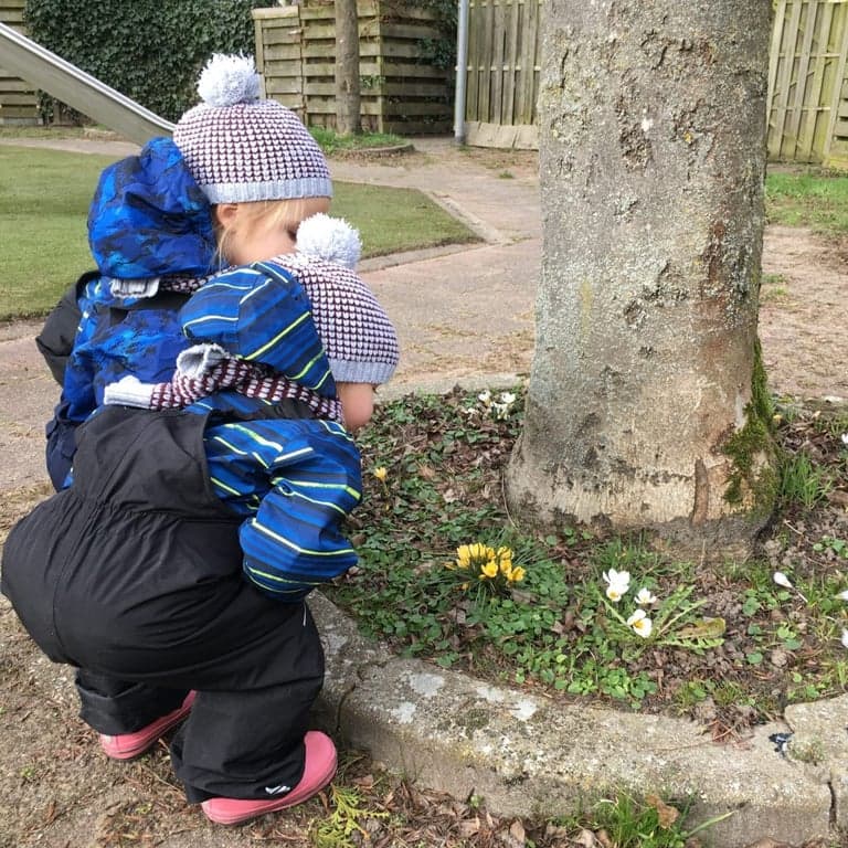 kinderdagverblijf Pluim 3