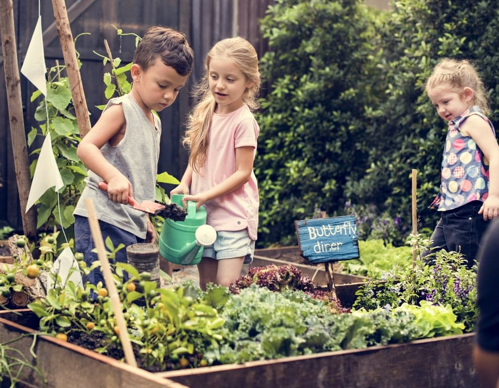 Kinderopvang Van Nature foto 5