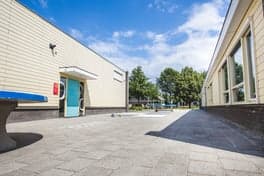 Partou Hart van Slangenbeek BSO foto 6