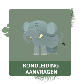 Kinderdagverblijf Jungle Kids B.V. foto 5