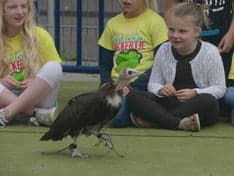 't Kickertje, Achterdijkshoorn foto 7