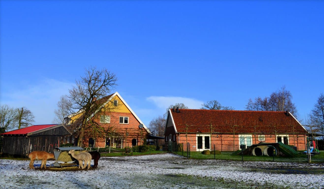 Kinderopvang de Speelboerderij 2
