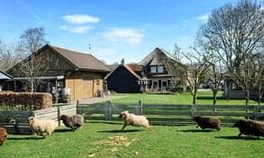 Kinderopvang Hollands Kroon Den Oever foto 7