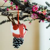 BSO Baloe de Eendragt foto 4