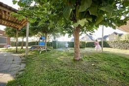 Doomijn KDV Stippestap foto 5