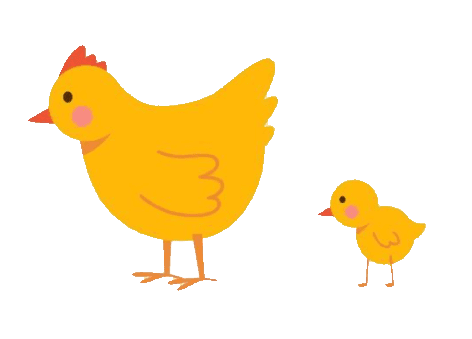 Kinderdagverblijf Ons Stalleke foto 5