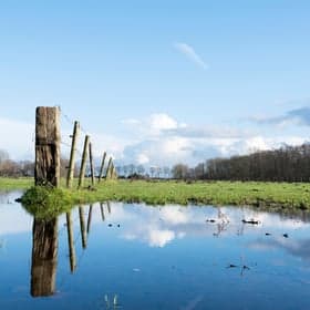 Partou BSO Noordersingel 6 foto 8