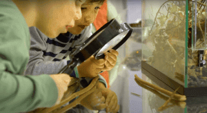 Eigenwijze Kinderopvang foto 10