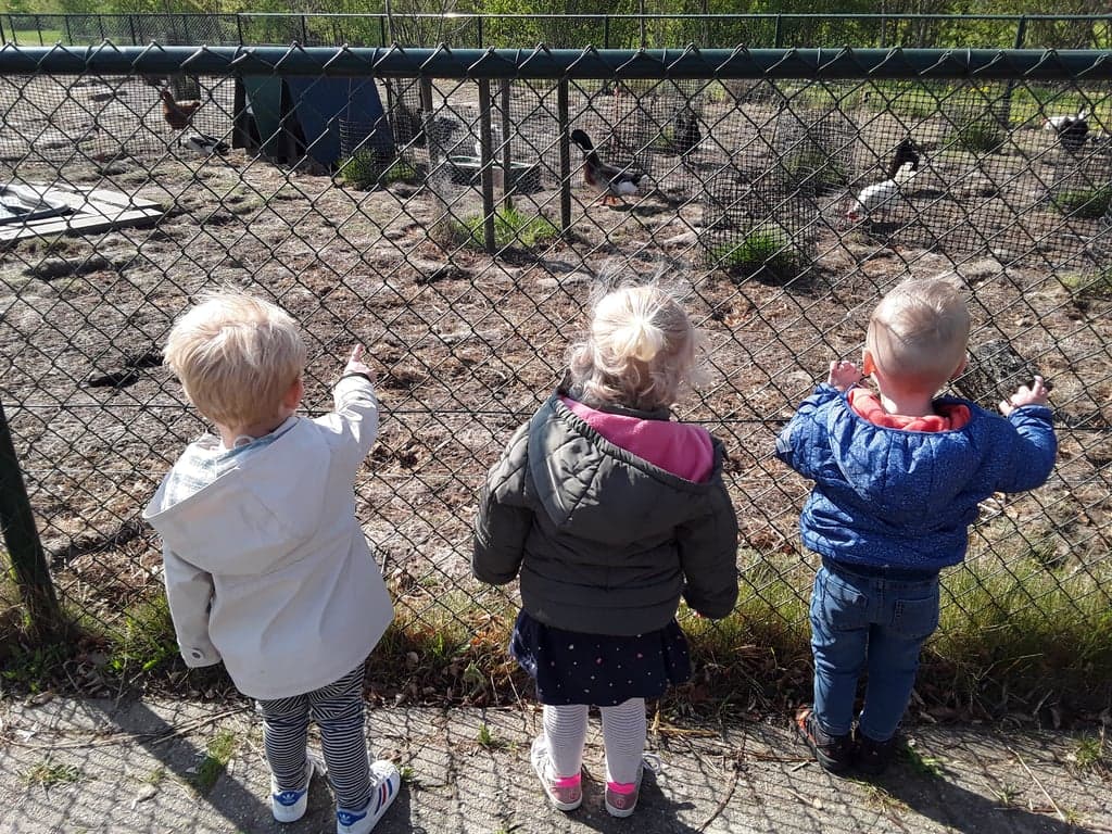 Kinderdagverblijf Berenhuis, Kindcentrum De Kleine Beer foto 6