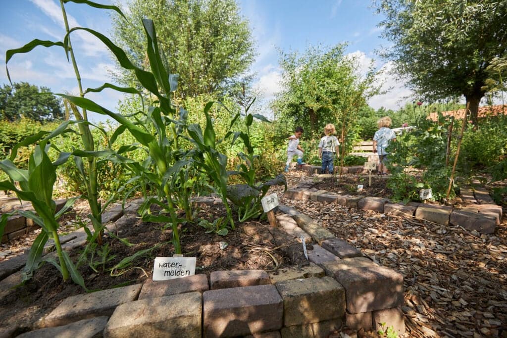 Doomijn BSO Schellerpark foto 4