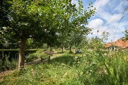 Doomijn BSO Schellerpark foto 5