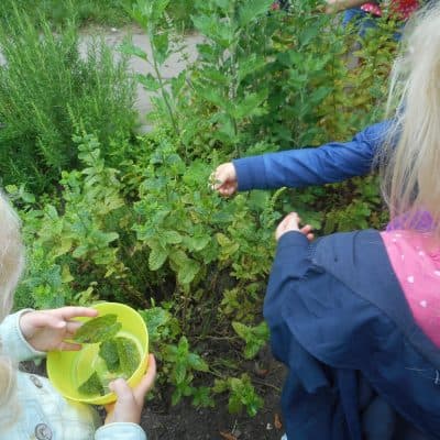 Buitenkids BV foto 9