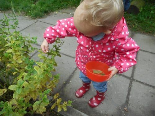 Buitenkids BV foto 10