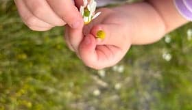 Kinderopvang Madelief 3