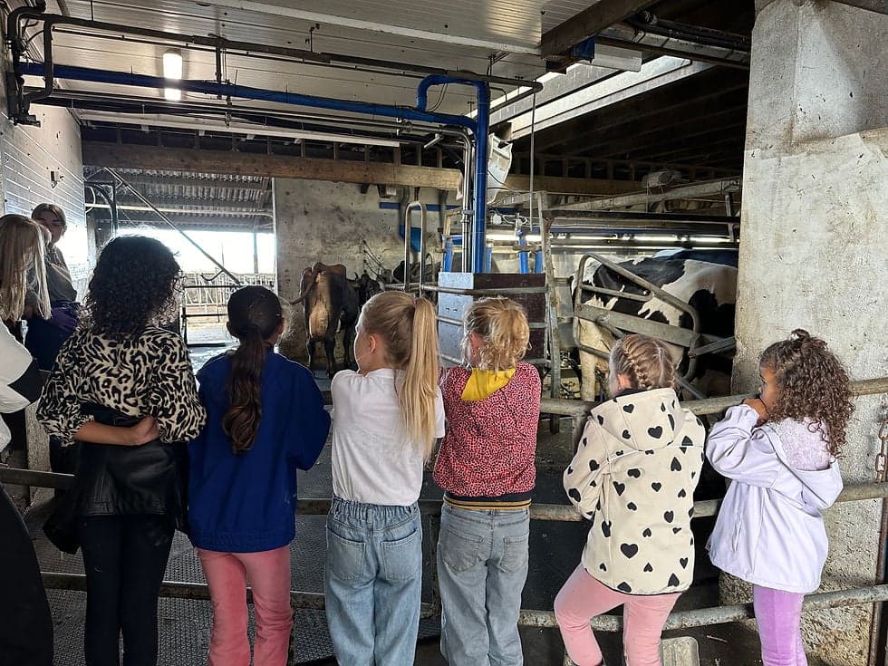 Kinderopvang Madelief foto 10